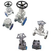 API 600 Cast & API 602 Forged Steel Gate, Globe & Check Valves API 600 Cast & API 602 Forged Steel Gate, Globe & Check Valves